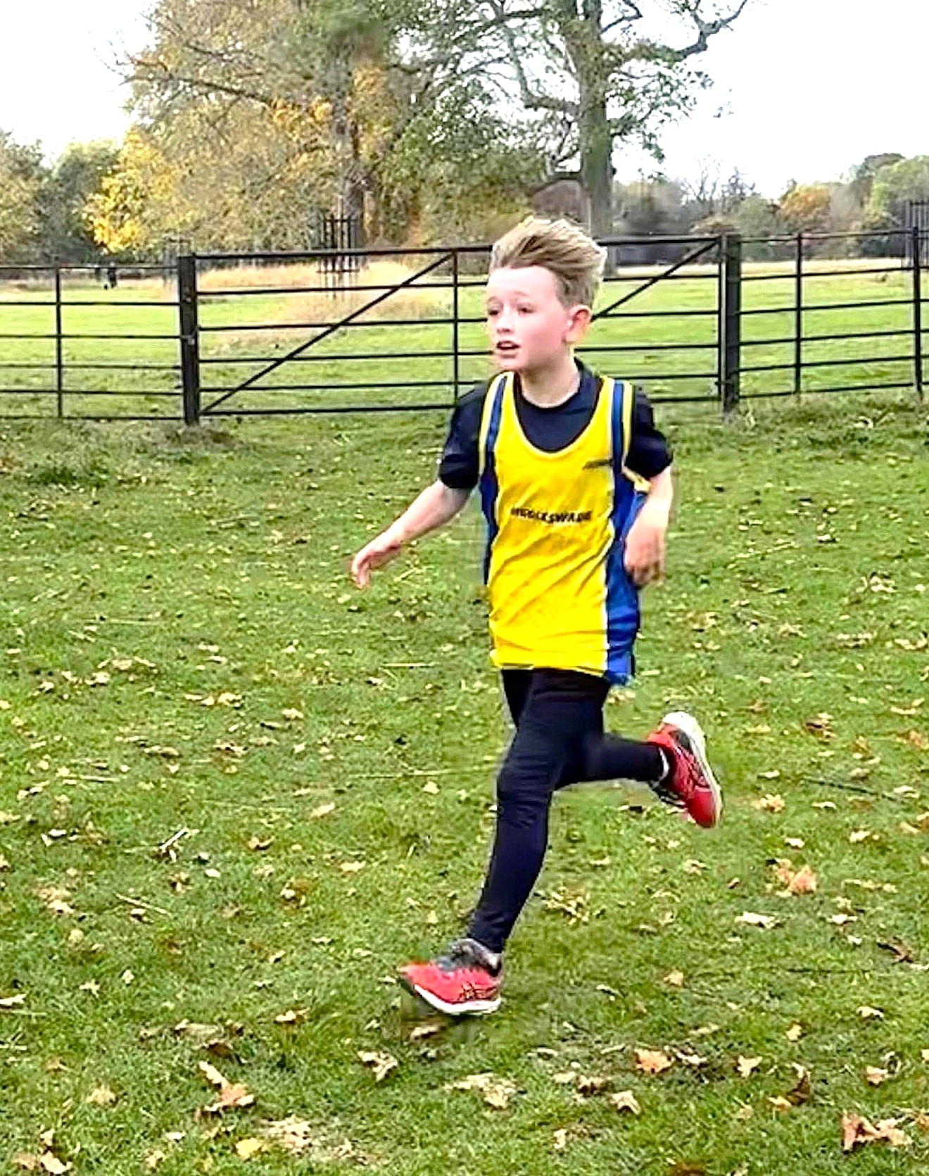 Little Bees athlete Callum clocks sub-9 minute Junior Parkrun PB